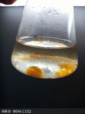 IMG_20201124_190236_2_sm.jpg - 98kB