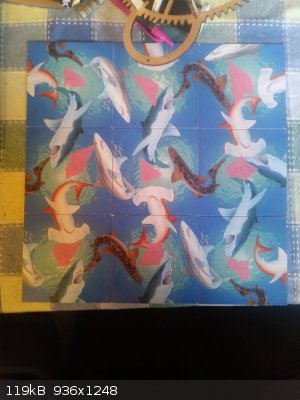 SharksOnAPlane.jpg - 119kB