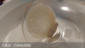 anthranilic-acid-meoh-recrys-3.jpeg - 73kB