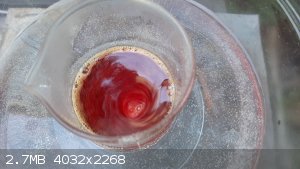 20210928_173404.jpg - 2.7MB