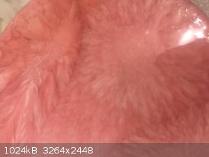 MnSO4xls.jpeg - 1024kB