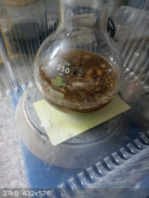 IMG_20220125_181319_8.jpg - 37kB