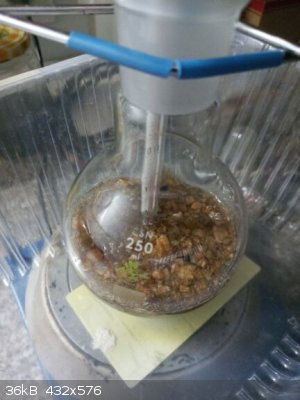 IMG_20220125_181638_4.jpg - 36kB