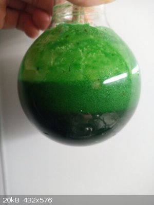 IMG_20220125_214032_0.jpg - 20kB