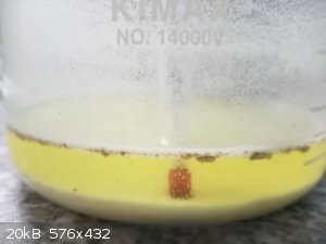 IMG_20220126_081852_4.jpg - 20kB