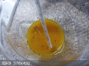 IMG_20220126_083344_0.jpg - 35kB