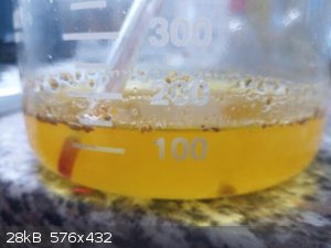 IMG_20220126_083901_5.jpg - 28kB