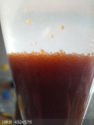 IMG_20220803_063912_6.jpg - 18kB