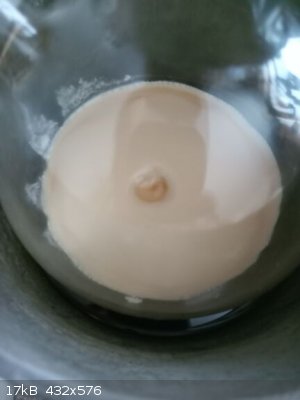 IMG_20220804_160401_0.jpg - 17kB