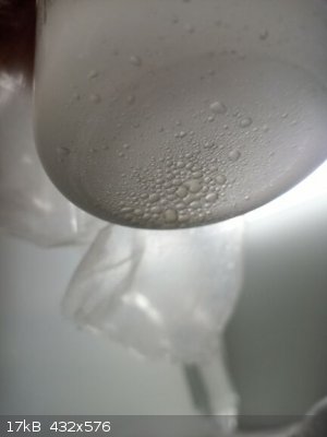 IMG_20220805_043758_8.jpg - 17kB