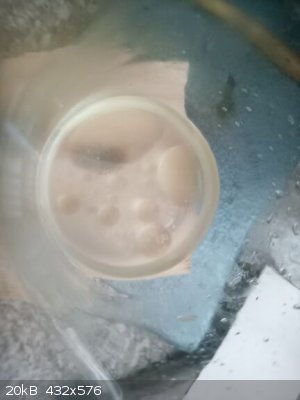 IMG_20220805_093948_4.jpg - 20kB