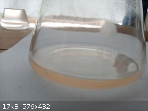 IMG_20220821_175541_5.jpg - 17kB