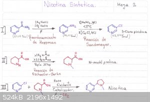 NICOTINA SINTETICA  [Esquema].jpg - 524kB
