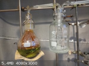 20230601_215702.jpg - 5.4MB