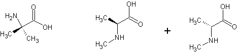 methylalanine.bmp - 142kB