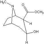 ecgoninemethylester.gif - 2kB