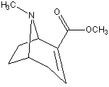 anhydroecgoninemethylester.jpg - 2kB