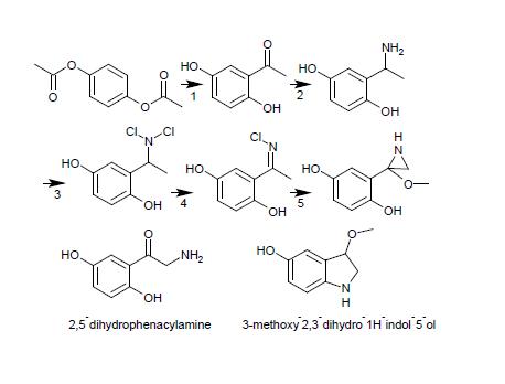 25.dihydroxyphenacylamine.jpeg - 18kB