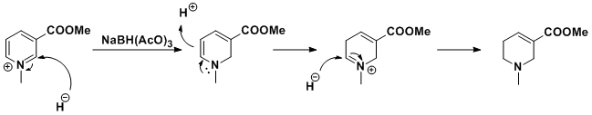 arecoline scheme2.gif - 5kB
