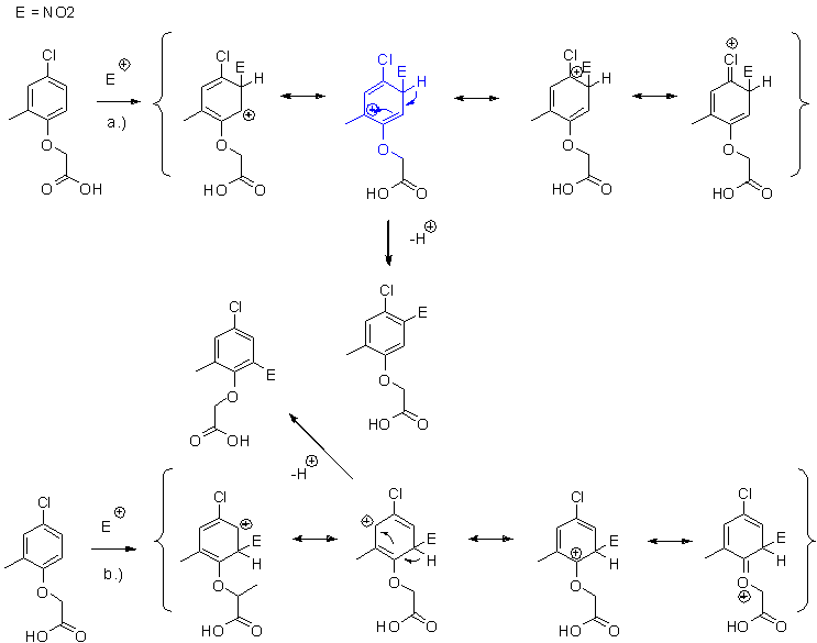Nitration-paths.GIF - 9kB