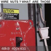 13) Wire nuts what are those II.jpg - 48kB