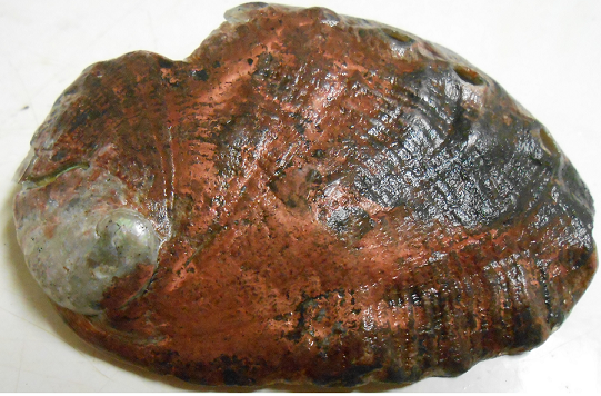 Untitled.bmp - 565kB Untitled.bmp - 565kB