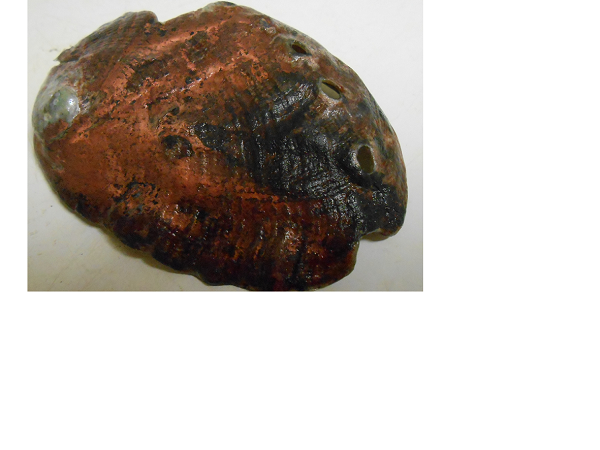 poor.bmp - 791kB poor.bmp - 791kB