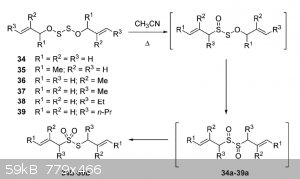 Disulfides rearrangement.png - 59kB