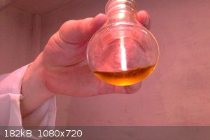 TEMPO oil.jpg - 182kB