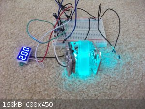 DSCF0044.JPG - 160kB