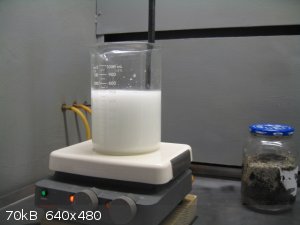 sebacic acid slurry - batch #3.jpg - 70kB