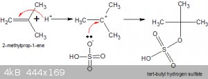Sulphonation of methyl propene.gif - 4kB