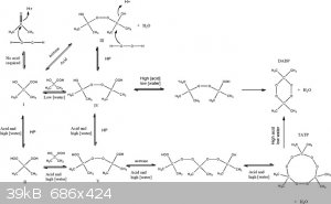 Figure-7-Mechanism-for-the-synthesis-of-TATP-and-DADP.jpg - 39kB