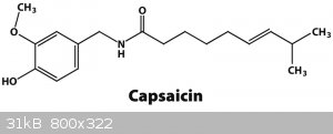 capsaicin.jpg - 31kB