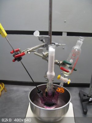 1. thymophthalein reaction set-up.jpg - 82kB
