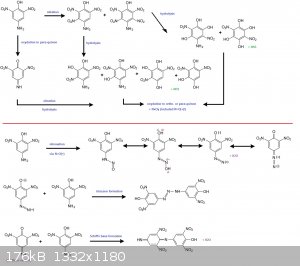 isopicramic reactions.jpg - 176kB