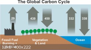 Carbon_Cycle.gif - 12kB