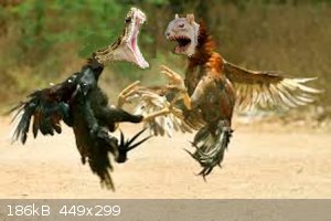 animal_fight.png - 186kB