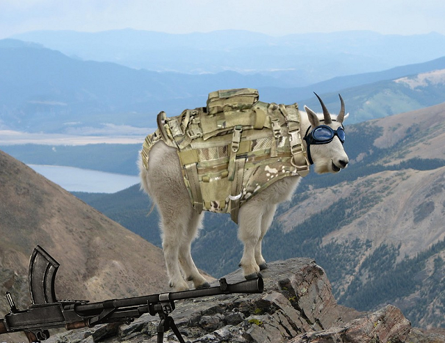 Mountain-Goat-Soldier-on-a-Rock-Ledge.bmp - 926kB