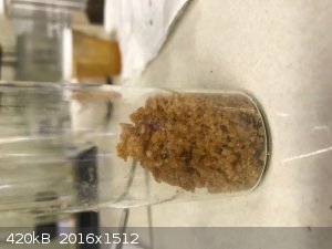 6 Iodide after drying 14hrs in desiccator under vacuum.jpg - 420kB