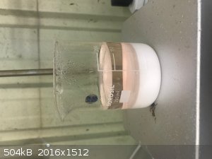 6 Mn ii OAc DD completed and settled in acidic solution.jpg - 504kB