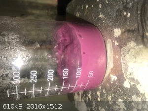 1 CoCO3 reacting with glycine solution.jpg - 610kB