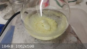 20210307_183924.jpg - 184kB