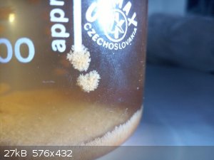 IMG_20220822_135858_3.jpg - 27kB