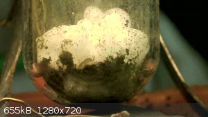 vlcsnap-2024-07-06-12h06m13s415.png - 655kB