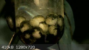 vlcsnap-2024-07-06-12h32m04s699.png - 410kB