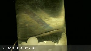 vlcsnap-2024-07-25-09h33m25s399.png - 313kB