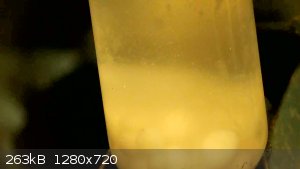 vlcsnap-2024-07-26-08h06m21s774.png - 263kB