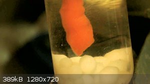 vlcsnap-2024-07-26-15h05m41s402.png - 389kB