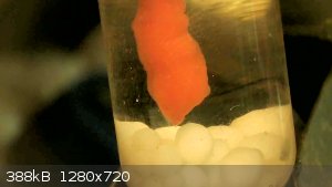 vlcsnap-2024-07-26-15h14m25s102.png - 388kB